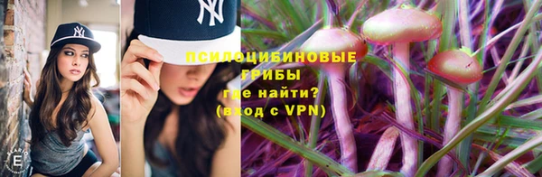 а пвп мука Алексеевка